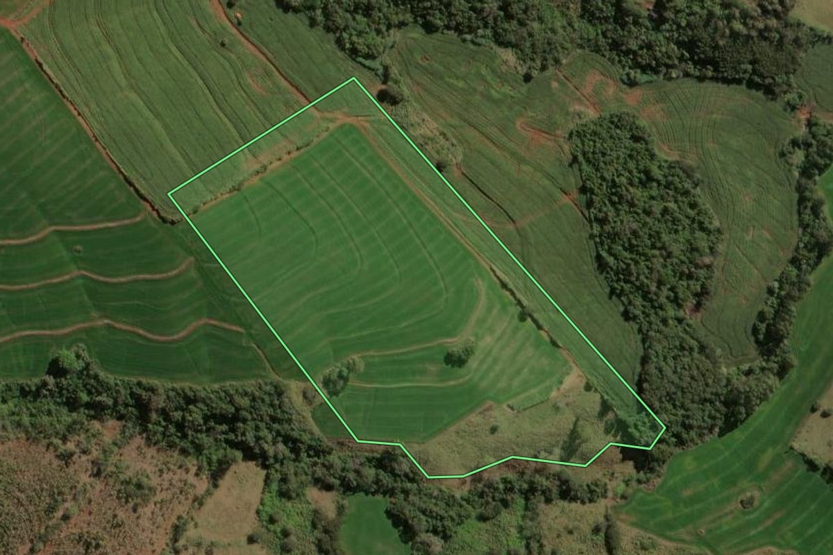 Imagem de satélite do imóvel rural em São Jerônimo da Serra (PR), com o contorno declarado no CAR desenhado por cima.