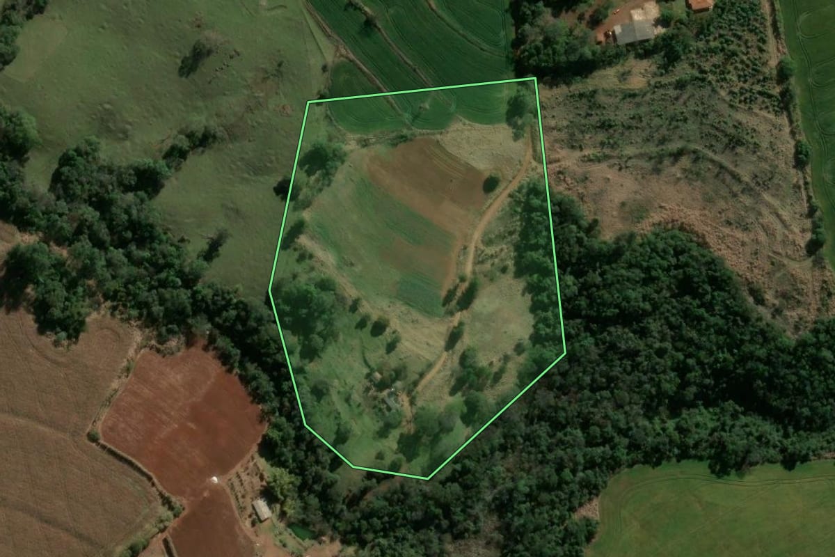 Imagem de satélite do imóvel rural em São Jerônimo da Serra (PR), com o contorno declarado no CAR desenhado por cima.