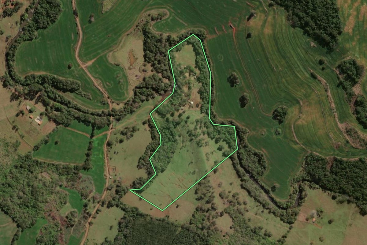 Imagem de satélite do imóvel rural em São Jerônimo da Serra (PR), com o contorno declarado no CAR desenhado por cima.