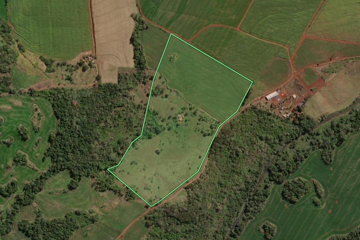 Imagem de satélite do imóvel rural em São Jerônimo da Serra (PR), com o contorno declarado no CAR desenhado por cima.