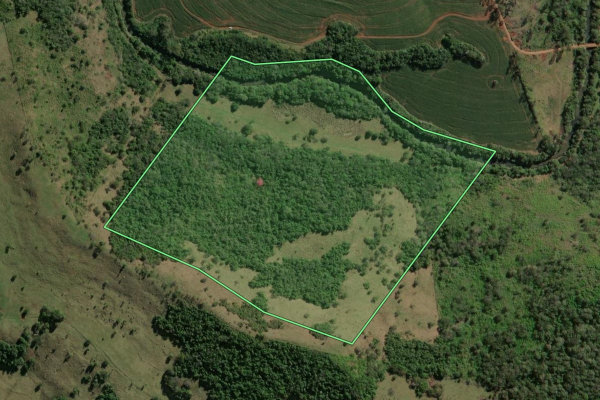 Imagem de satélite do imóvel rural em São Jerônimo da Serra (PR), com o contorno declarado no CAR desenhado por cima.