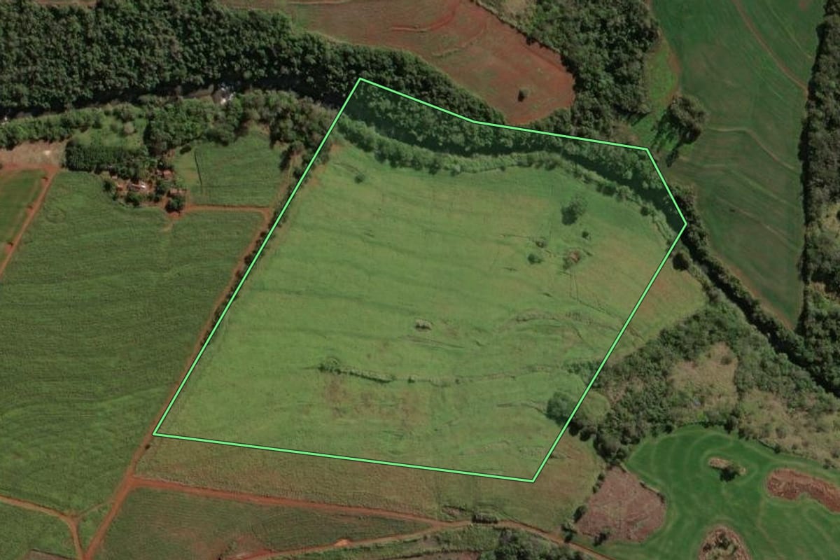 Imagem de satélite do imóvel rural em São Jerônimo da Serra (PR), com o contorno declarado no CAR desenhado por cima.