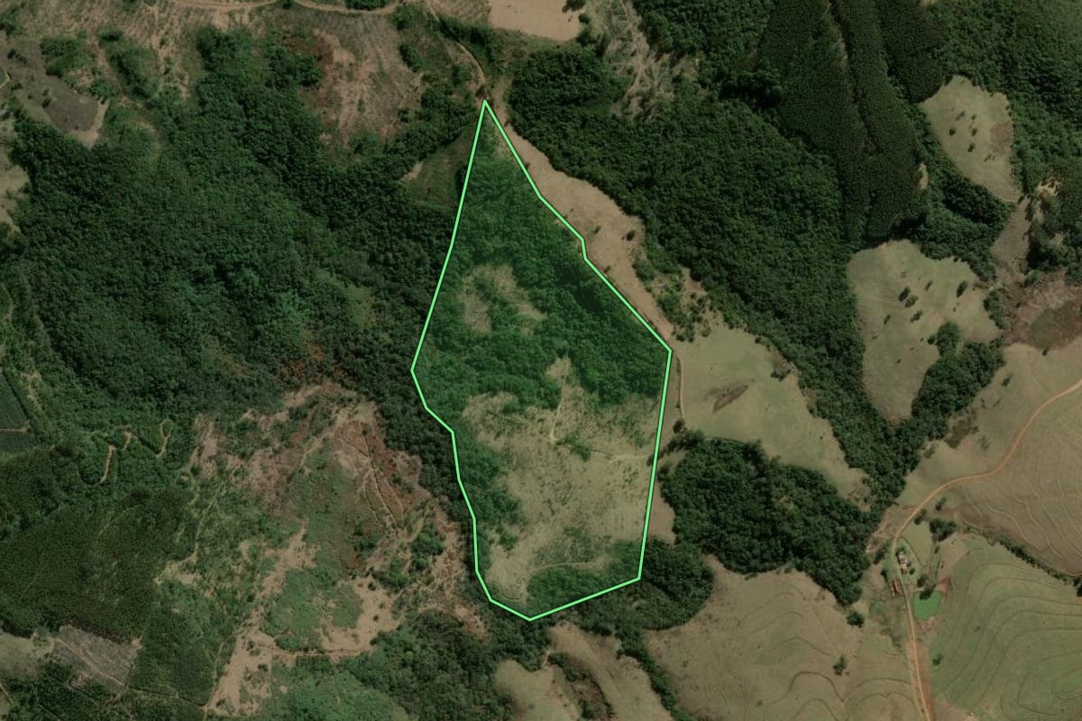 Imagem de satélite do imóvel rural em São Jerônimo da Serra (PR), com o contorno declarado no CAR desenhado por cima.