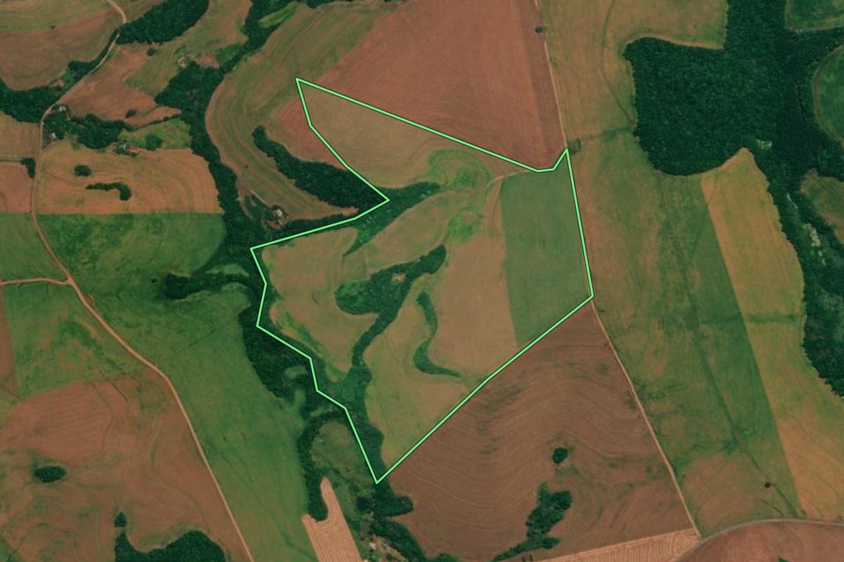 Imagem de satélite do imóvel rural em São João (PR), com o contorno declarado no CAR desenhado por cima.