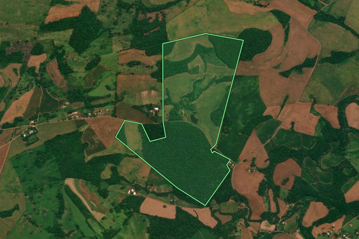 Imagem de satélite do imóvel rural em São João (PR), com o contorno declarado no CAR desenhado por cima.