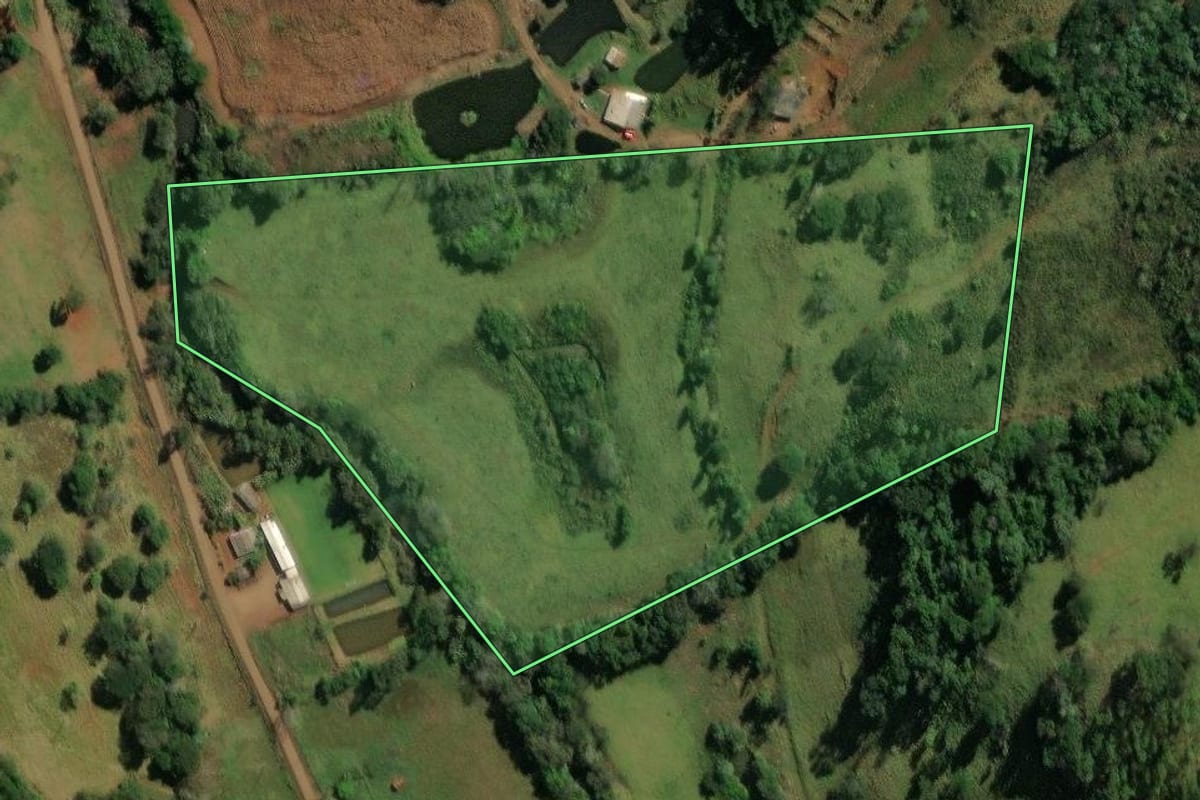 Imagem de satélite do imóvel rural em São João (PR), com o contorno declarado no CAR desenhado por cima.