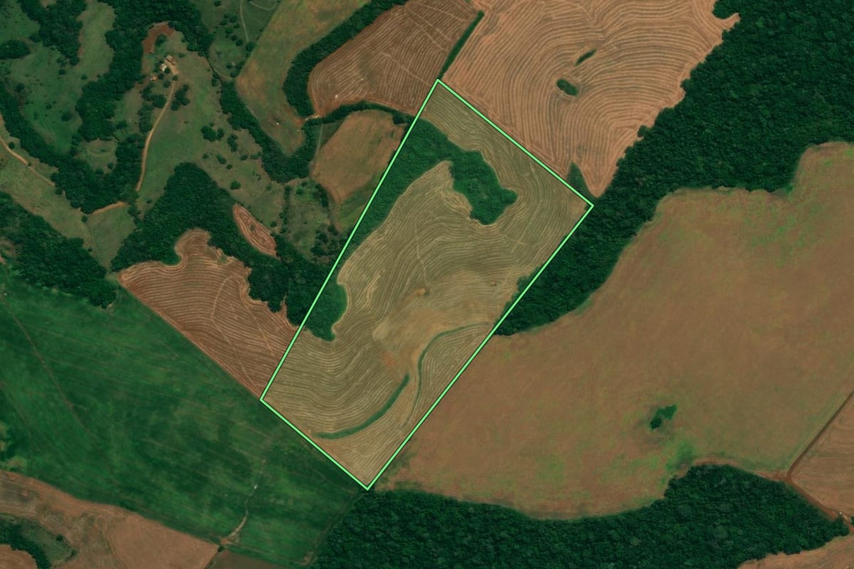 Imagem de satélite do imóvel rural em São João (PR), com o contorno declarado no CAR desenhado por cima.
