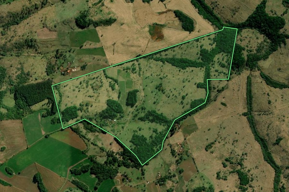 Imagem de satélite do imóvel rural em São João (PR), com o contorno declarado no CAR desenhado por cima.