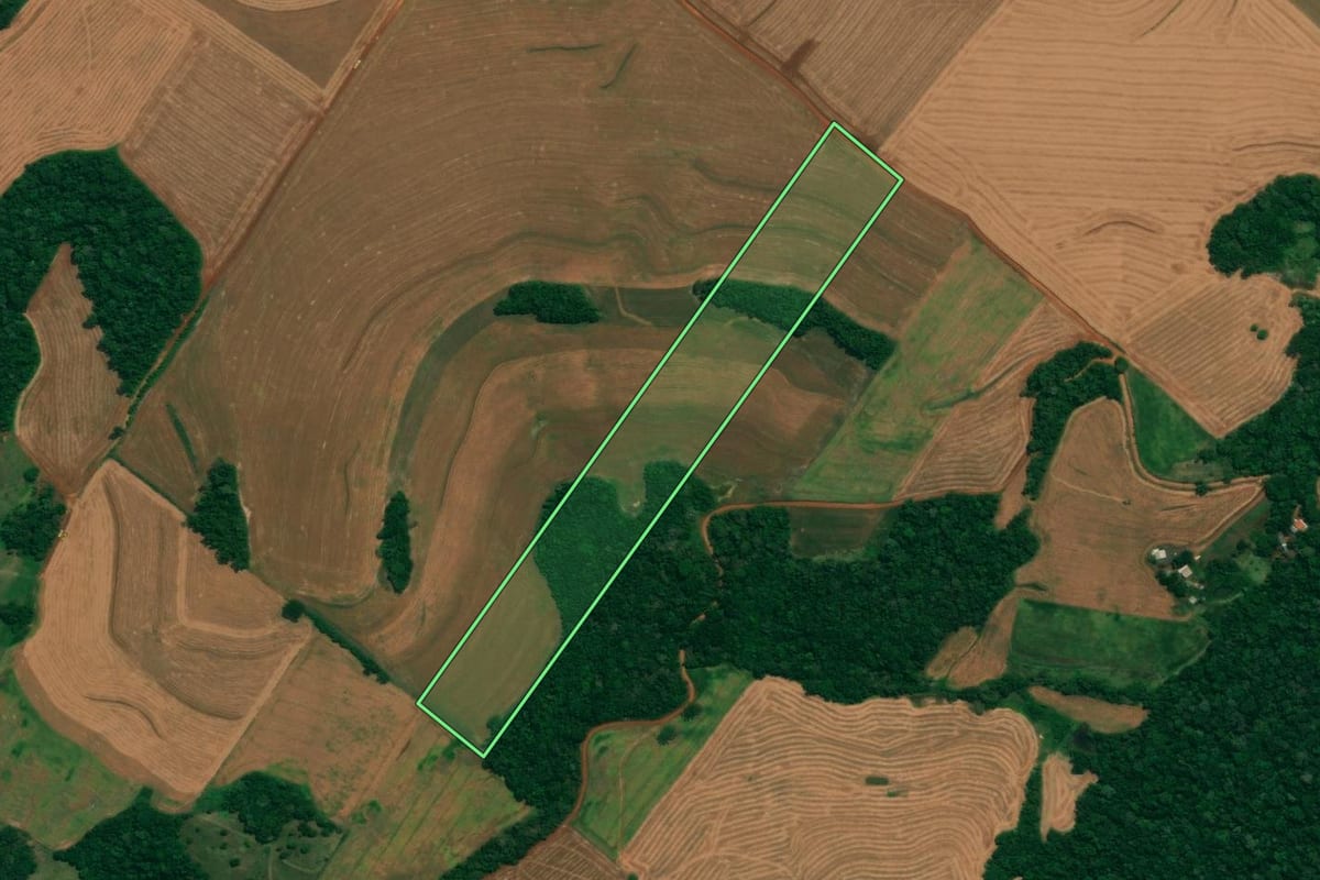 Imagem de satélite do imóvel rural em São João (PR), com o contorno declarado no CAR desenhado por cima.