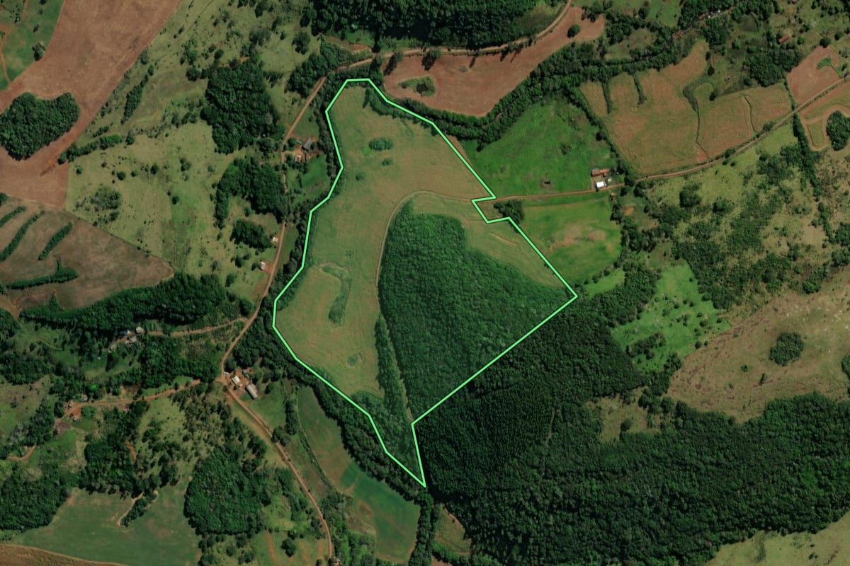 Imagem de satélite do imóvel rural em São João (PR), com o contorno declarado no CAR desenhado por cima.