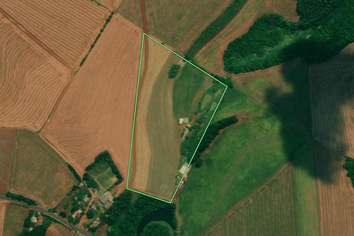 Imagem de satélite do imóvel rural em São João (PR), com o contorno declarado no CAR desenhado por cima.