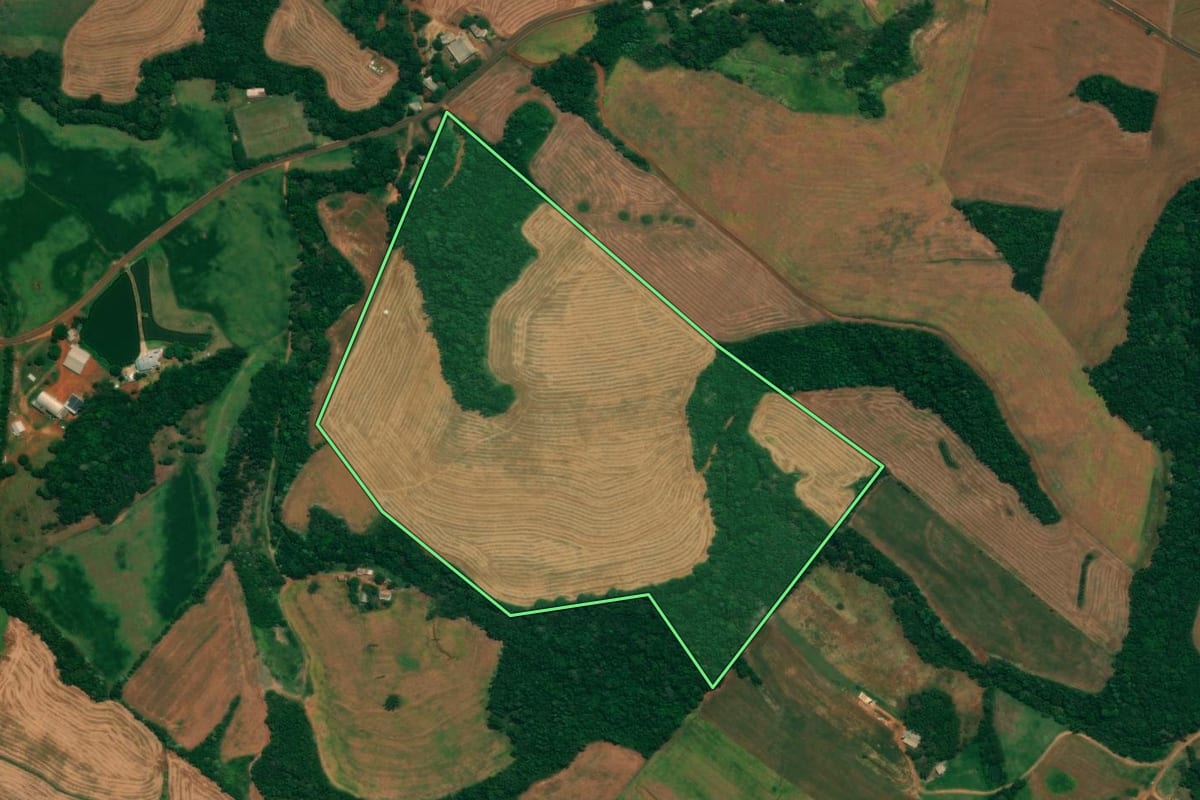 Imagem de satélite do imóvel rural em São João (PR), com o contorno declarado no CAR desenhado por cima.