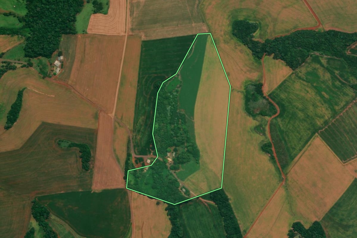 Imagem de satélite do imóvel rural em São João (PR), com o contorno declarado no CAR desenhado por cima.