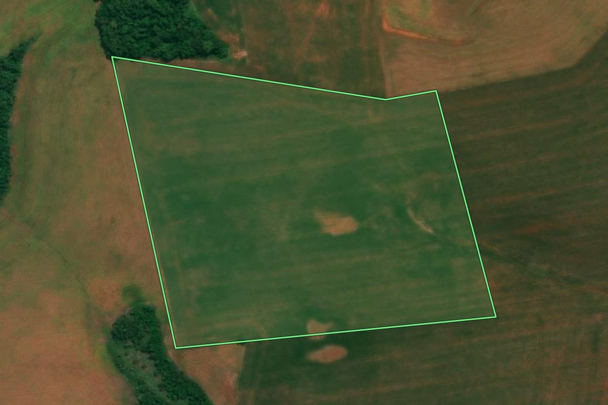 Imagem de satélite do imóvel rural em São João (PR), com o contorno declarado no CAR desenhado por cima.