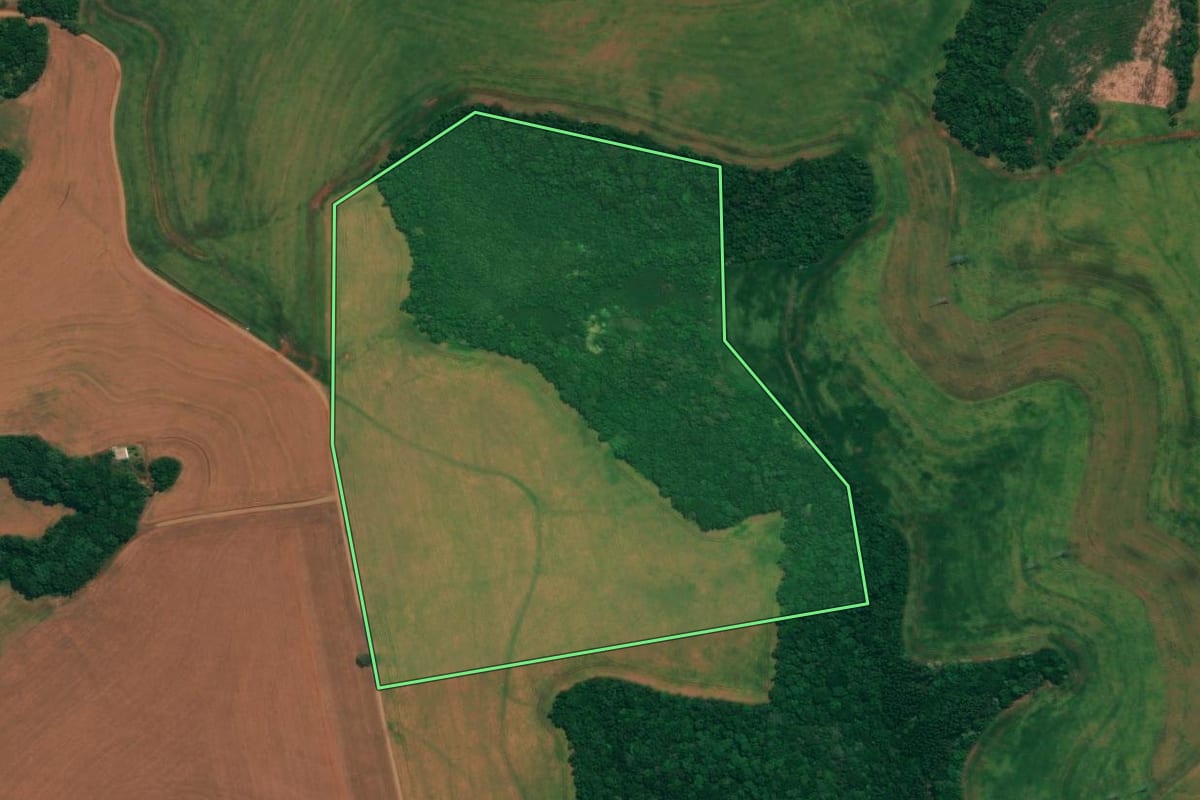 Imagem de satélite do imóvel rural em São João (PR), com o contorno declarado no CAR desenhado por cima.