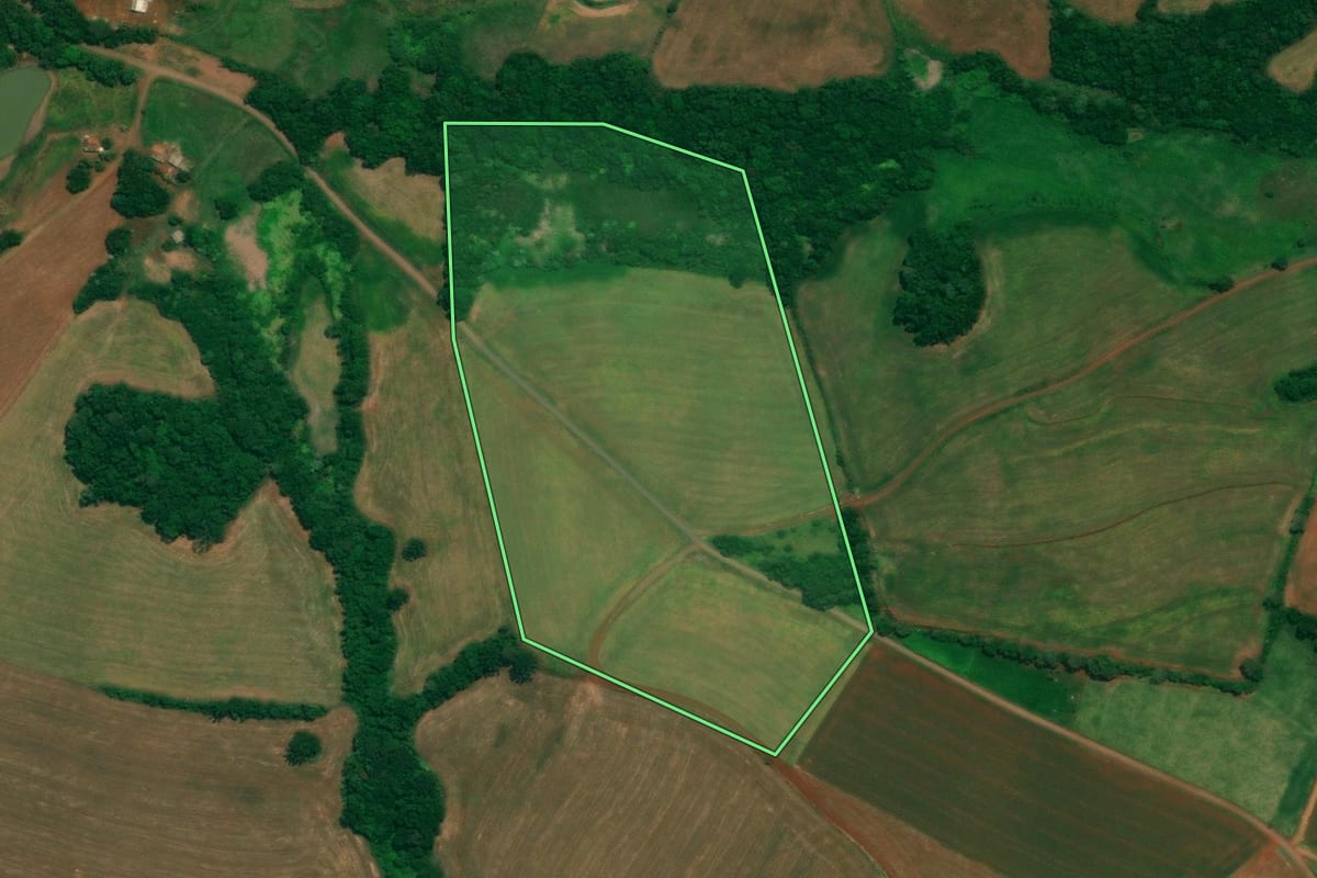 Imagem de satélite do imóvel rural em São João (PR), com o contorno declarado no CAR desenhado por cima.