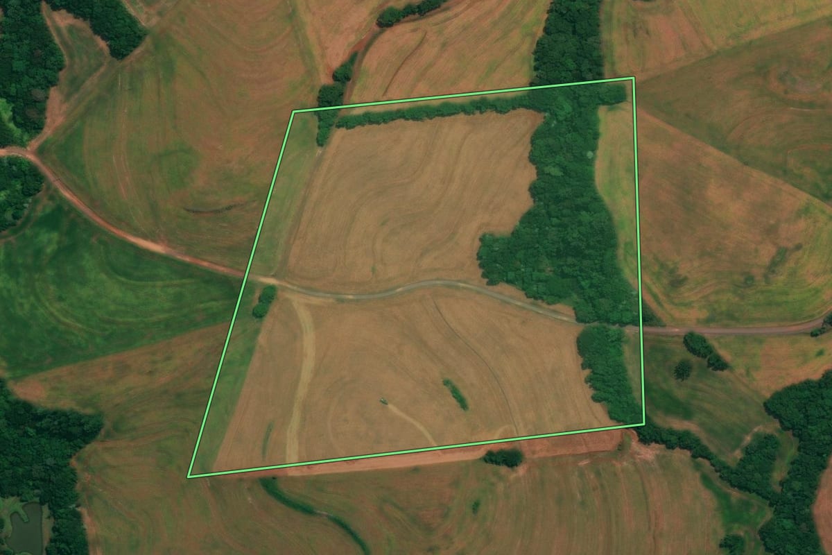 Imagem de satélite do imóvel rural em São João (PR), com o contorno declarado no CAR desenhado por cima.