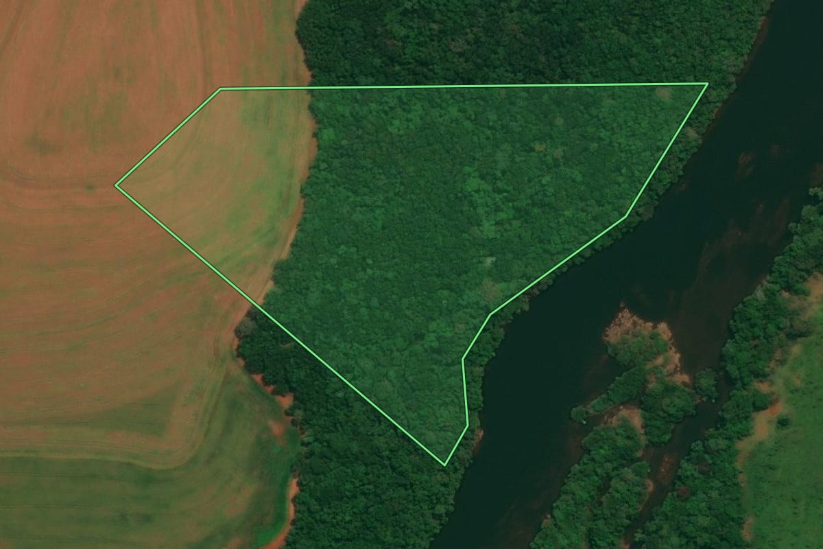 Imagem de satélite do imóvel rural em São João (PR), com o contorno declarado no CAR desenhado por cima.