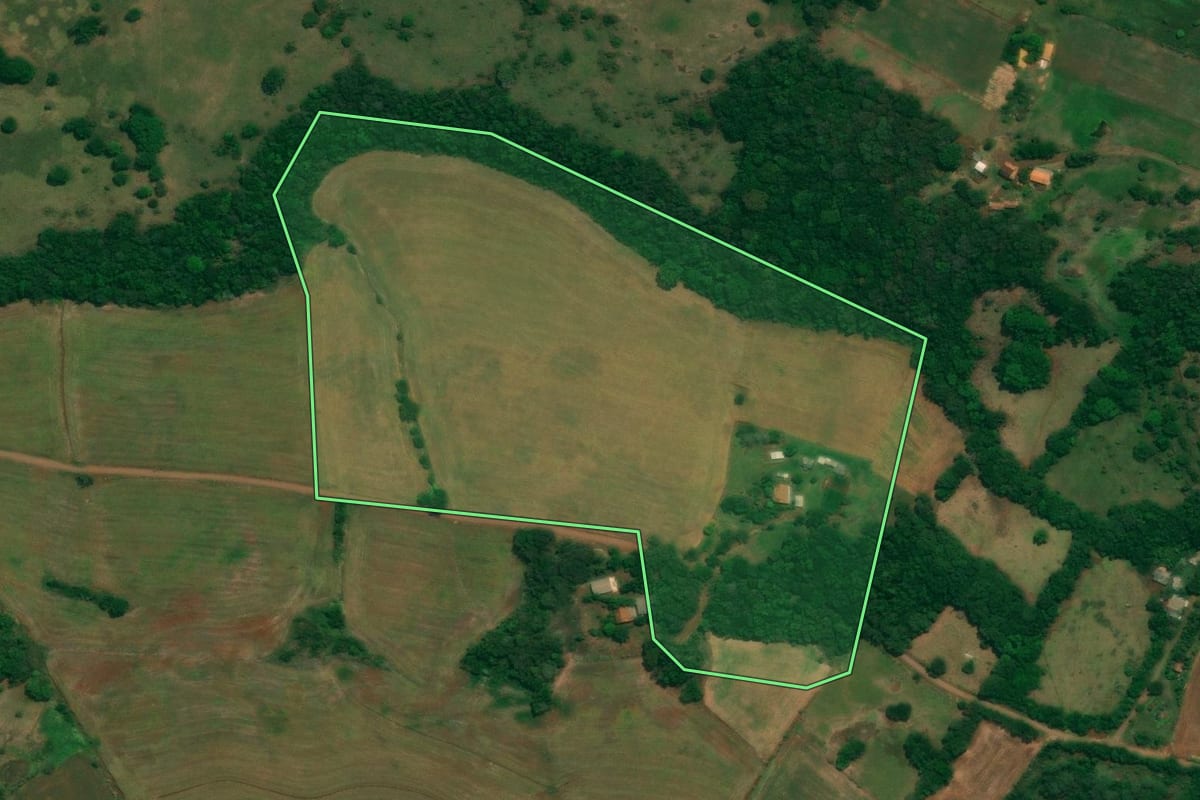 Imagem de satélite do imóvel rural em São João (PR), com o contorno declarado no CAR desenhado por cima.