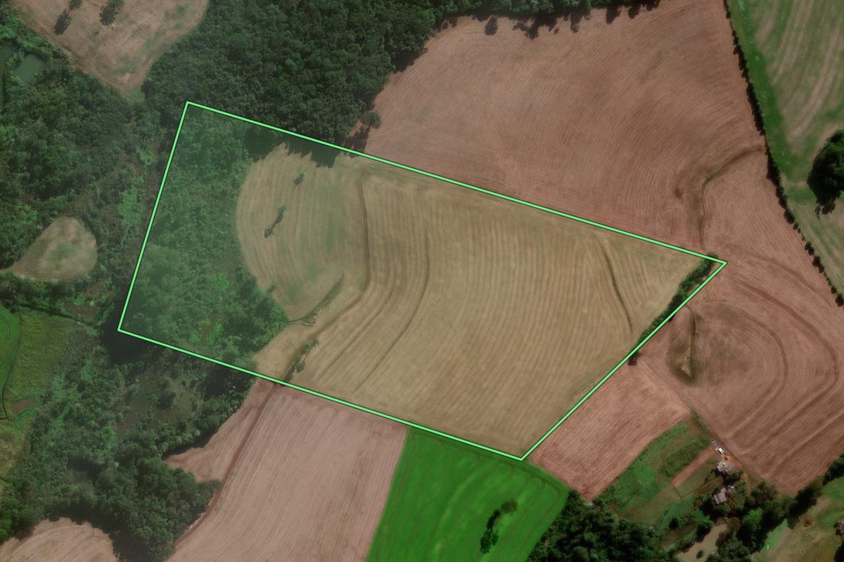 Imagem de satélite do imóvel rural em São João (PR), com o contorno declarado no CAR desenhado por cima.