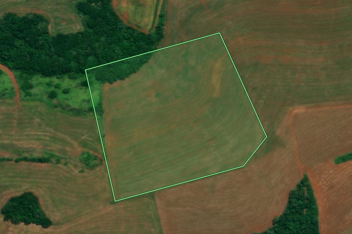 Imagem de satélite do imóvel rural em São João (PR), com o contorno declarado no CAR desenhado por cima.