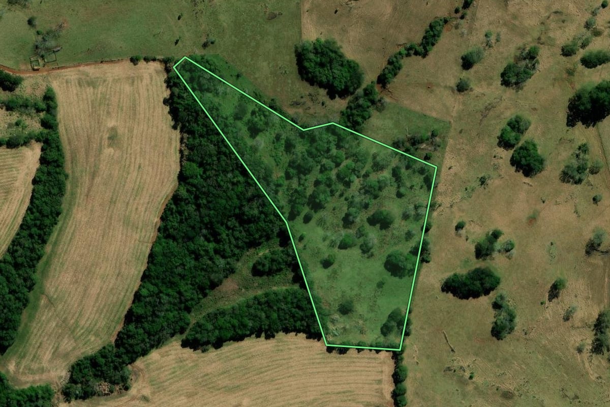 Imagem de satélite do imóvel rural em São João (PR), com o contorno declarado no CAR desenhado por cima.