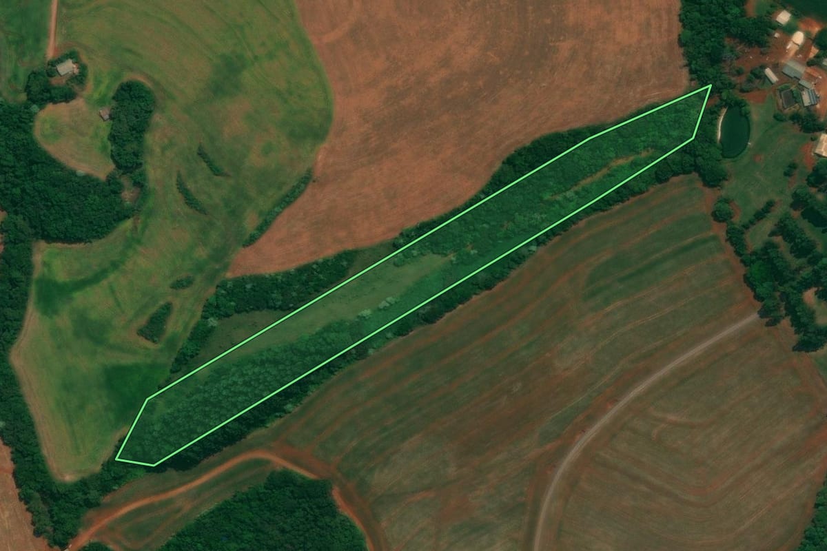 Imagem de satélite do imóvel rural em São João (PR), com o contorno declarado no CAR desenhado por cima.