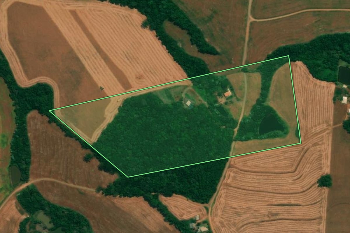 Imagem de satélite do imóvel rural em São João (PR), com o contorno declarado no CAR desenhado por cima.