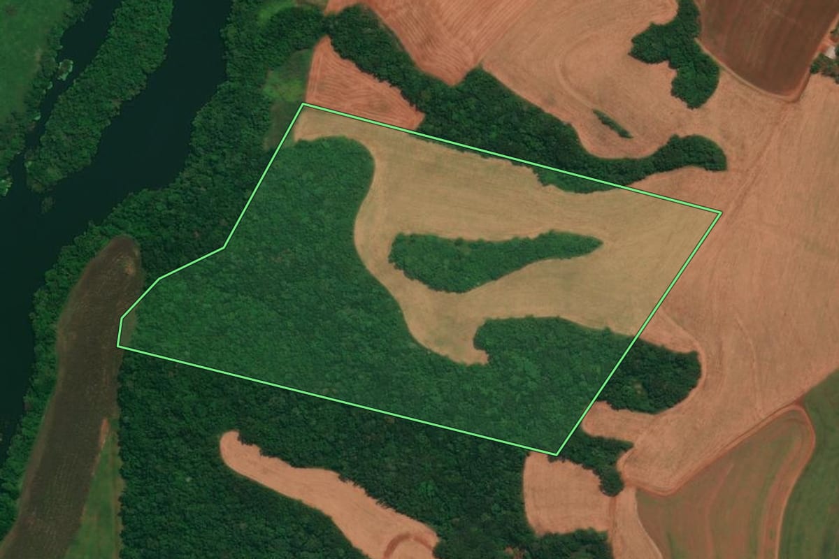 Imagem de satélite do imóvel rural em São João (PR), com o contorno declarado no CAR desenhado por cima.