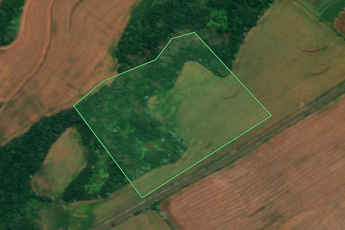 Imagem de satélite do imóvel rural em São João (PR), com o contorno declarado no CAR desenhado por cima.