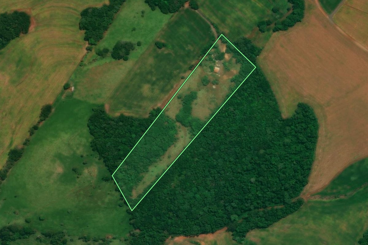 Imagem de satélite do imóvel rural em São João (PR), com o contorno declarado no CAR desenhado por cima.