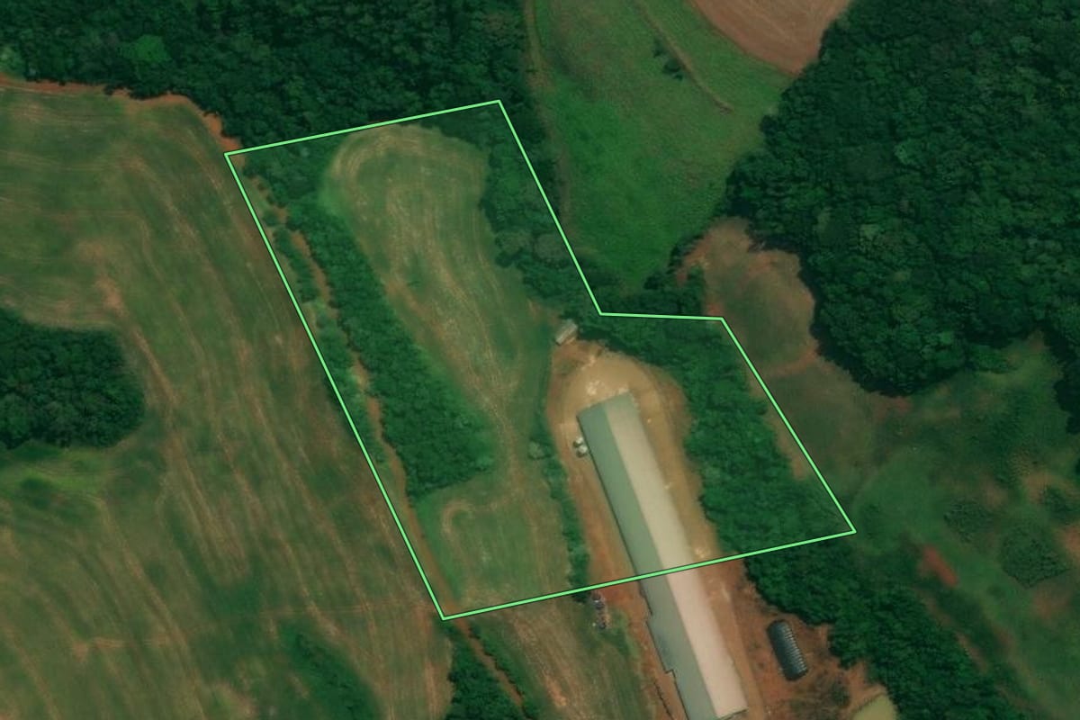 Imagem de satélite do imóvel rural em São João (PR), com o contorno declarado no CAR desenhado por cima.