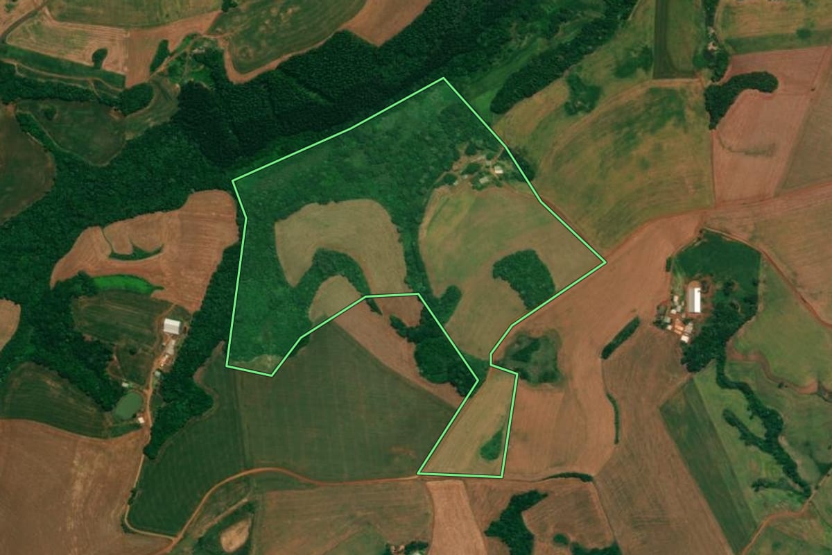Imagem de satélite do imóvel rural em São João (PR), com o contorno declarado no CAR desenhado por cima.