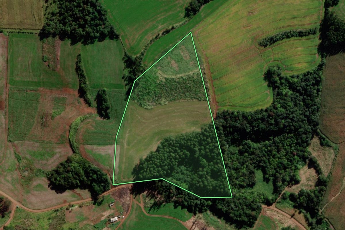 Imagem de satélite do imóvel rural em São João (PR), com o contorno declarado no CAR desenhado por cima.