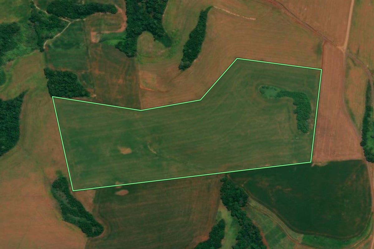 Imagem de satélite do imóvel rural em São João (PR), com o contorno declarado no CAR desenhado por cima.