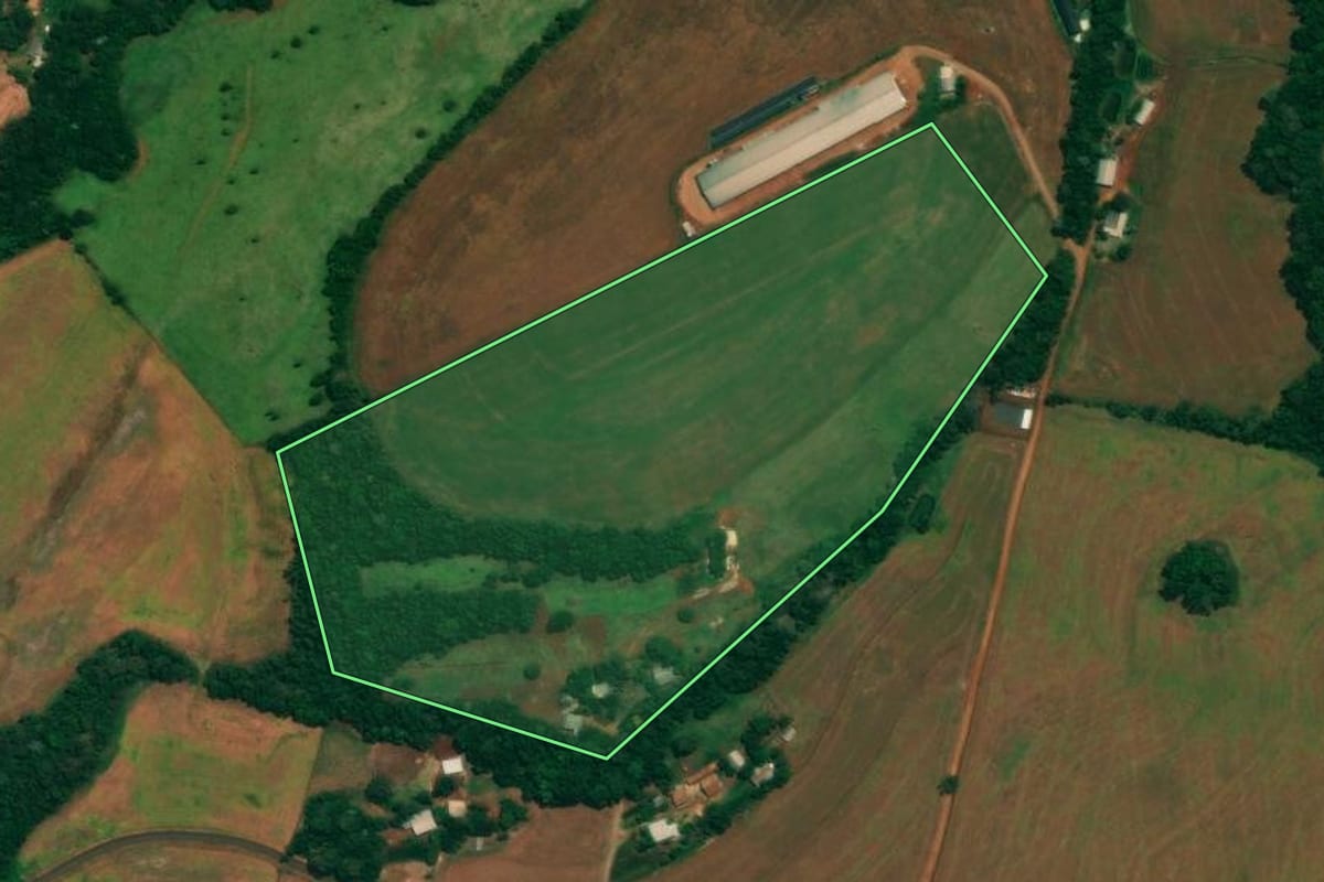 Imagem de satélite do imóvel rural em São João (PR), com o contorno declarado no CAR desenhado por cima.