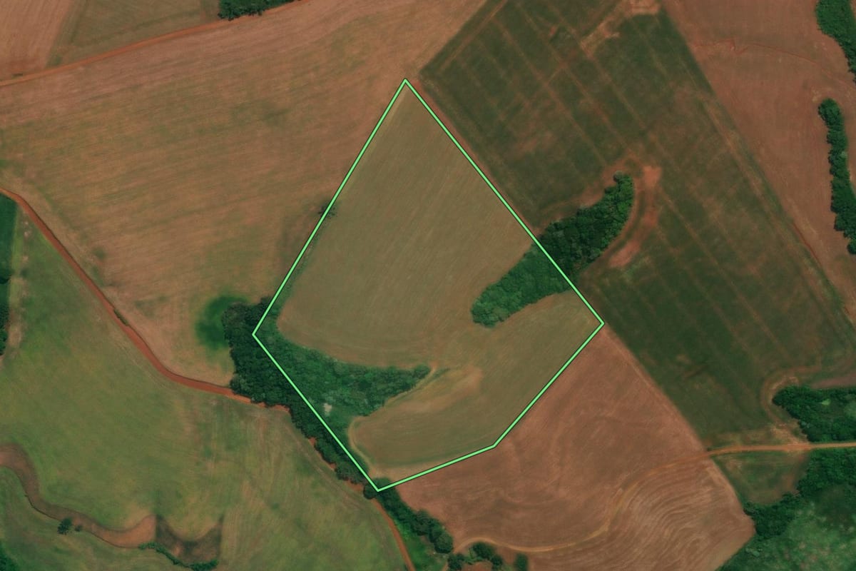Imagem de satélite do imóvel rural em São João (PR), com o contorno declarado no CAR desenhado por cima.