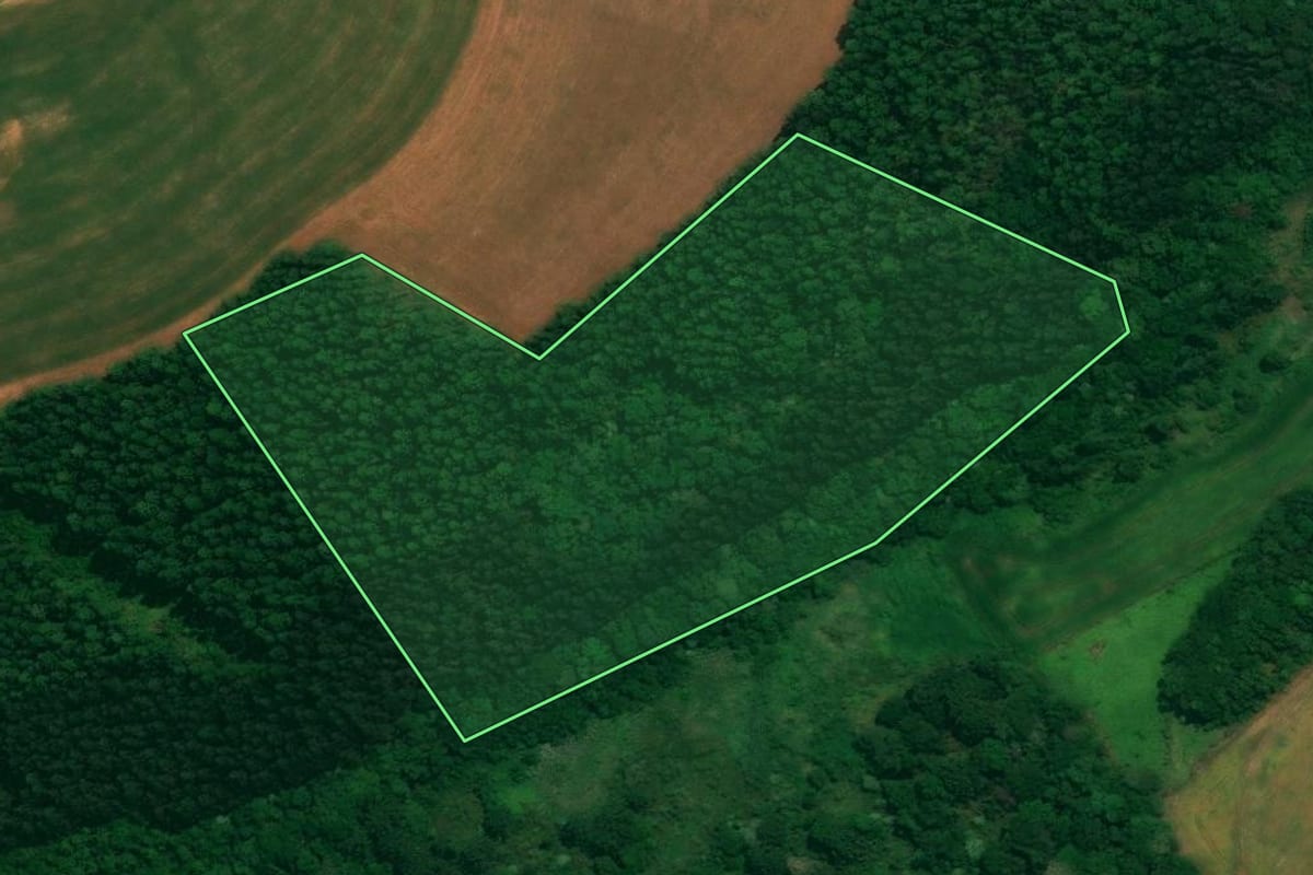 Imagem de satélite do imóvel rural em São João (PR), com o contorno declarado no CAR desenhado por cima.