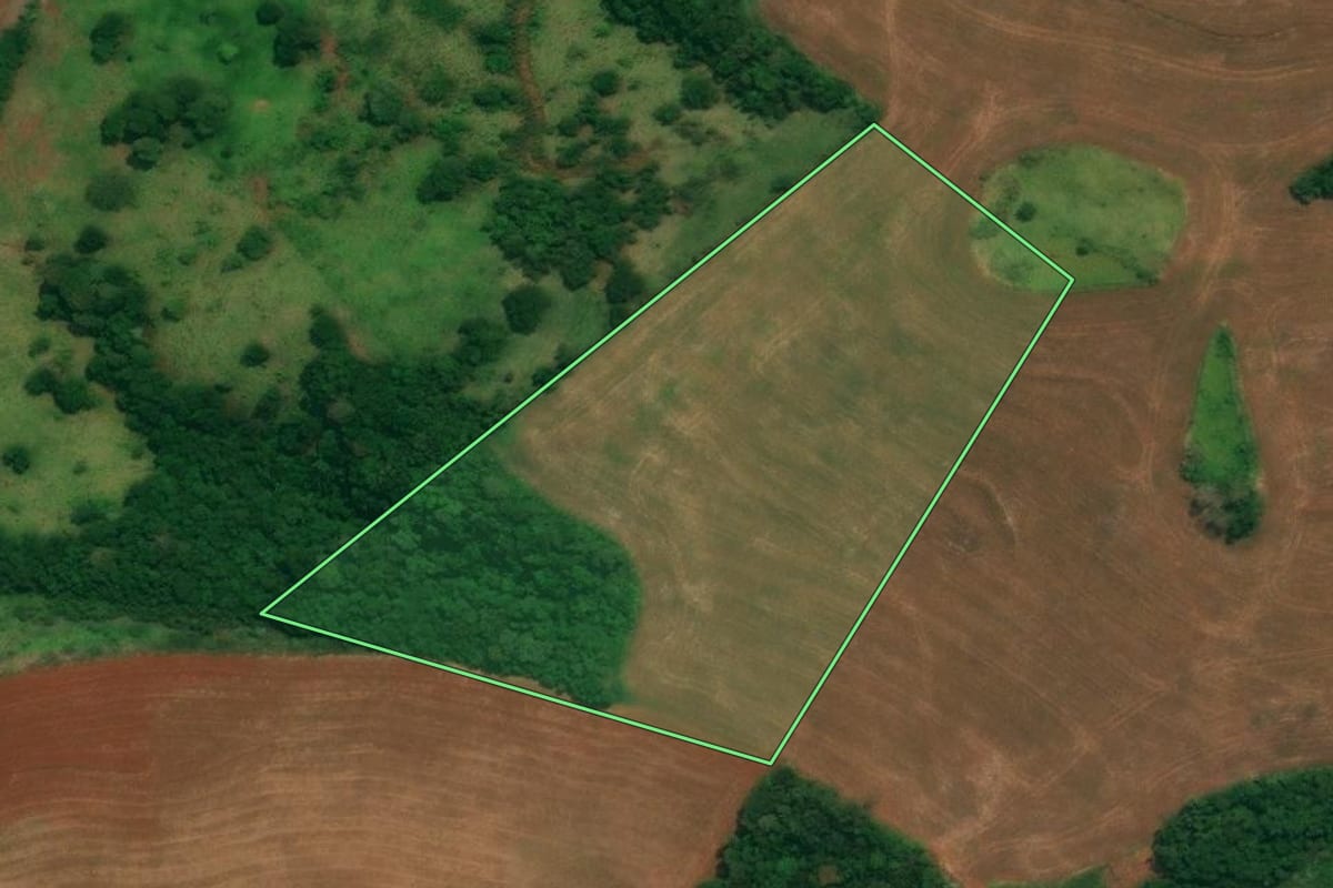 Imagem de satélite do imóvel rural em São João (PR), com o contorno declarado no CAR desenhado por cima.