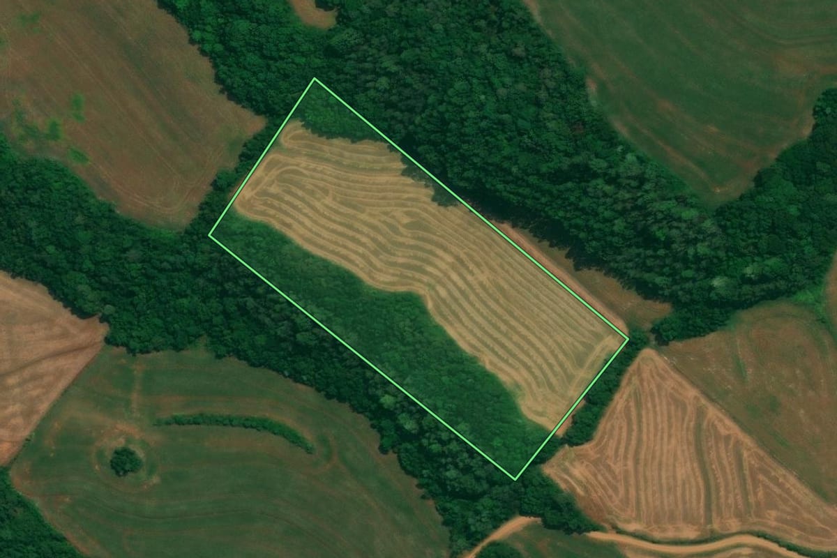 Imagem de satélite do imóvel rural em São João (PR), com o contorno declarado no CAR desenhado por cima.