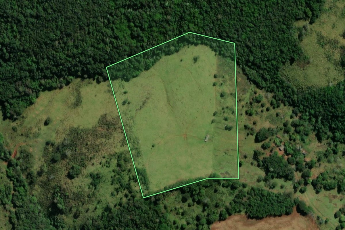 Imagem de satélite do imóvel rural em São João (PR), com o contorno declarado no CAR desenhado por cima.