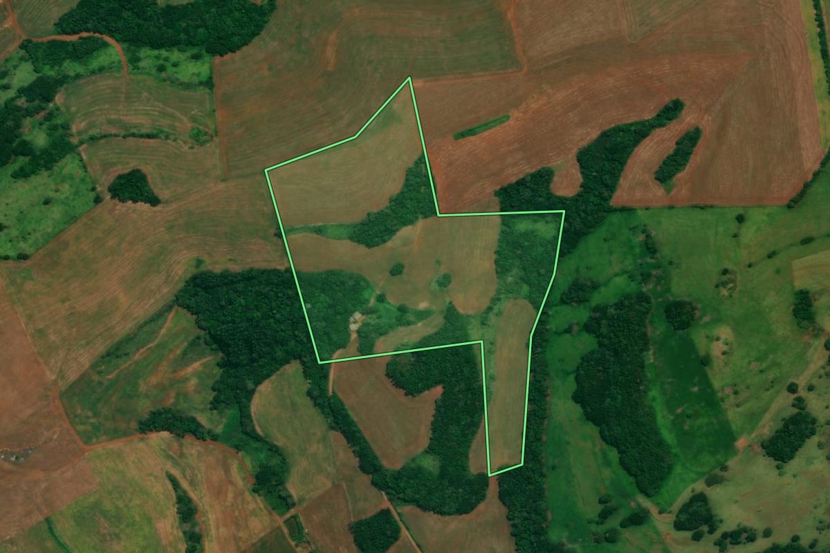 Imagem de satélite do imóvel rural em São João (PR), com o contorno declarado no CAR desenhado por cima.