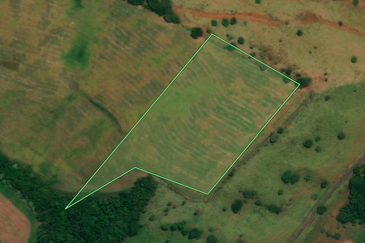 Imagem de satélite do imóvel rural em São João (PR), com o contorno declarado no CAR desenhado por cima.