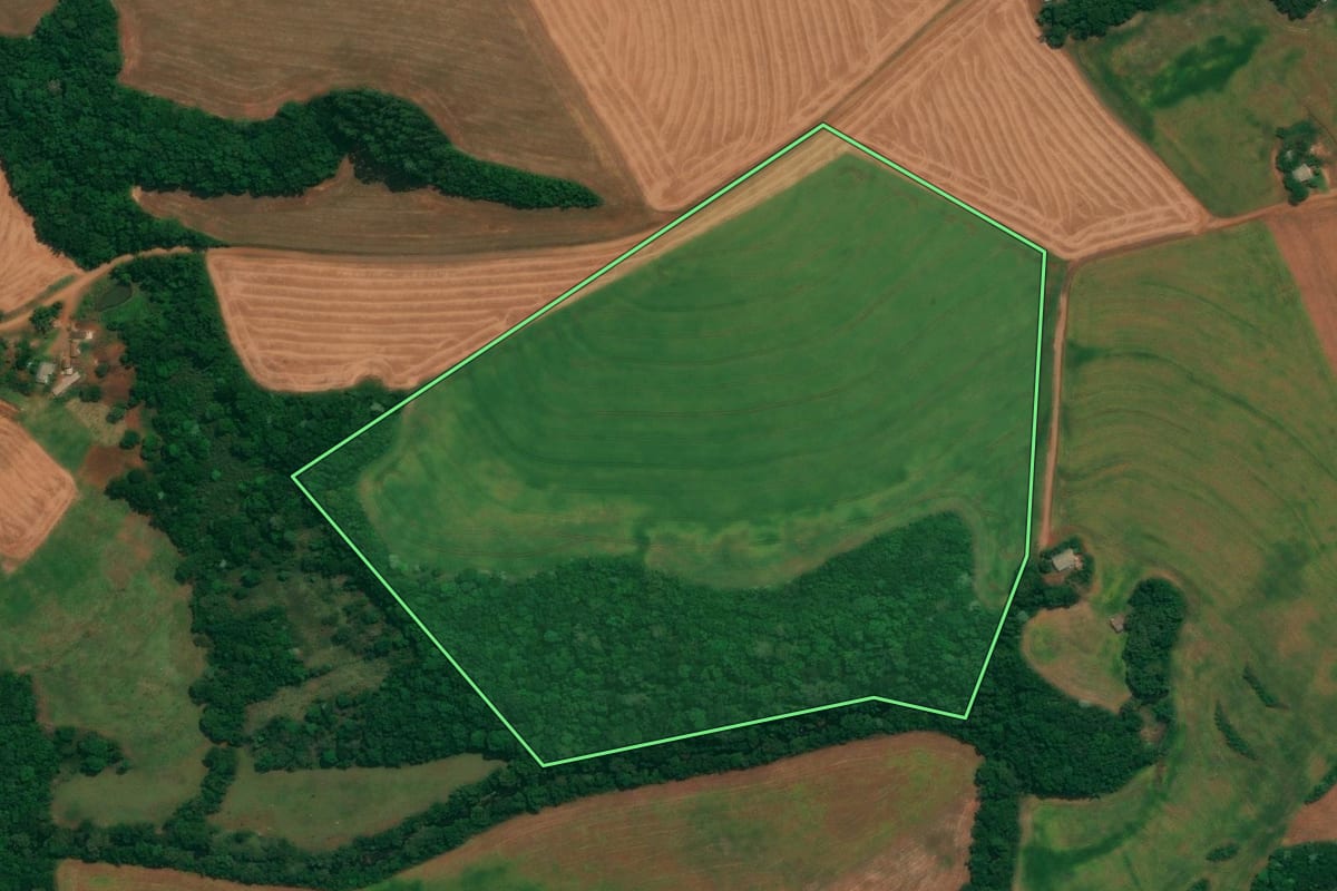 Imagem de satélite do imóvel rural em São João (PR), com o contorno declarado no CAR desenhado por cima.