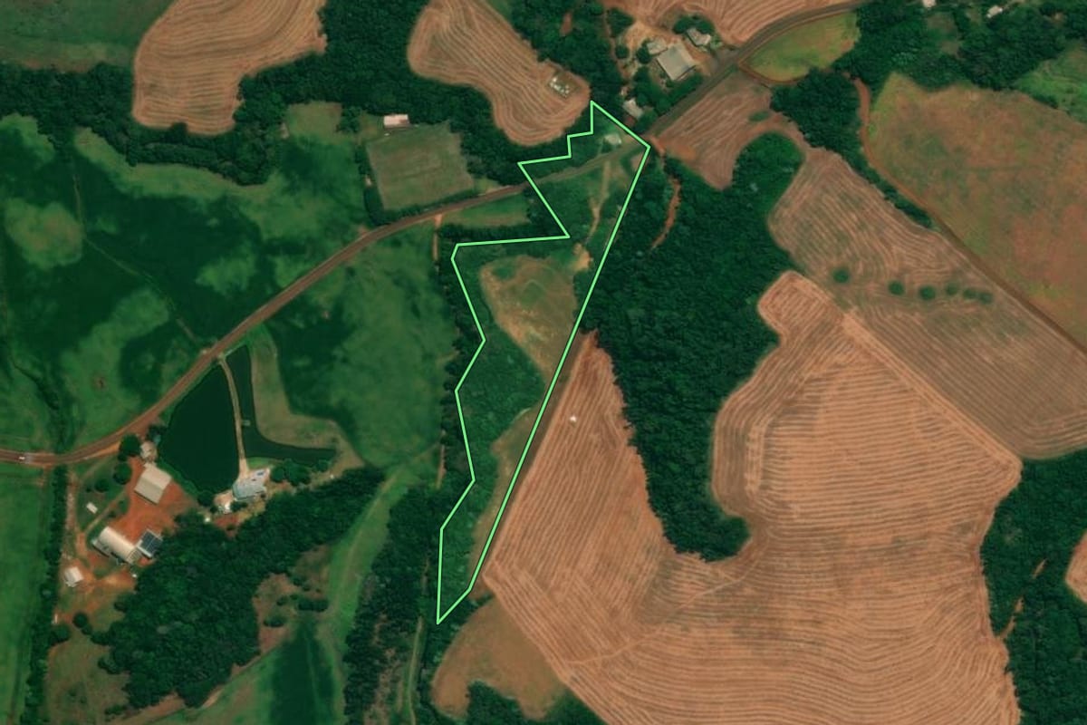 Imagem de satélite do imóvel rural em São João (PR), com o contorno declarado no CAR desenhado por cima.