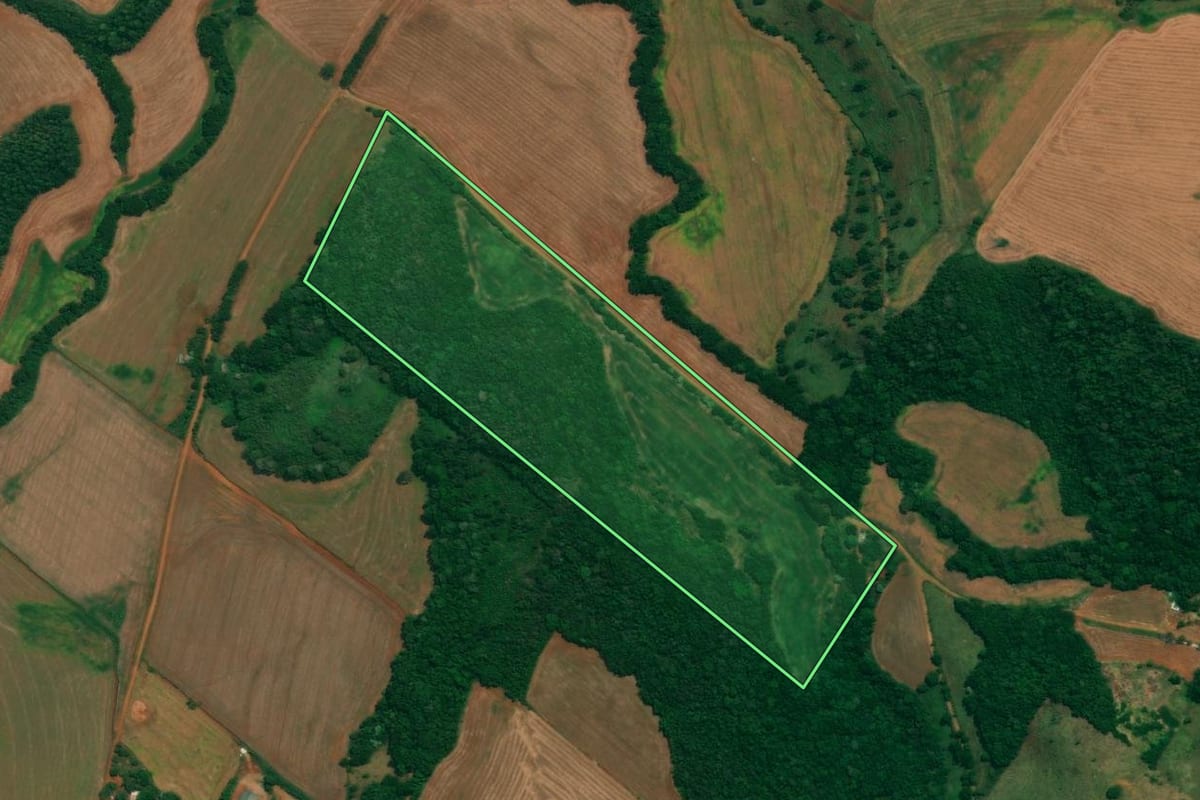 Imagem de satélite do imóvel rural em São João (PR), com o contorno declarado no CAR desenhado por cima.