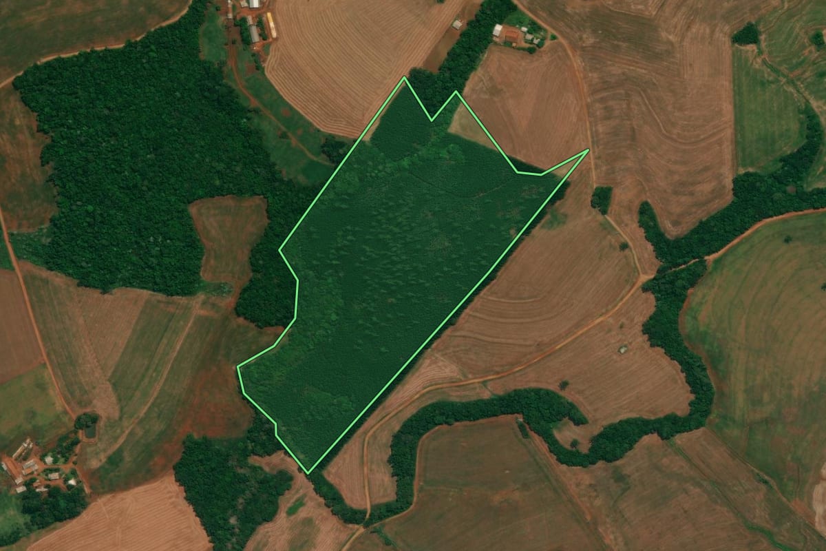 Imagem de satélite do imóvel rural em São João (PR), com o contorno declarado no CAR desenhado por cima.