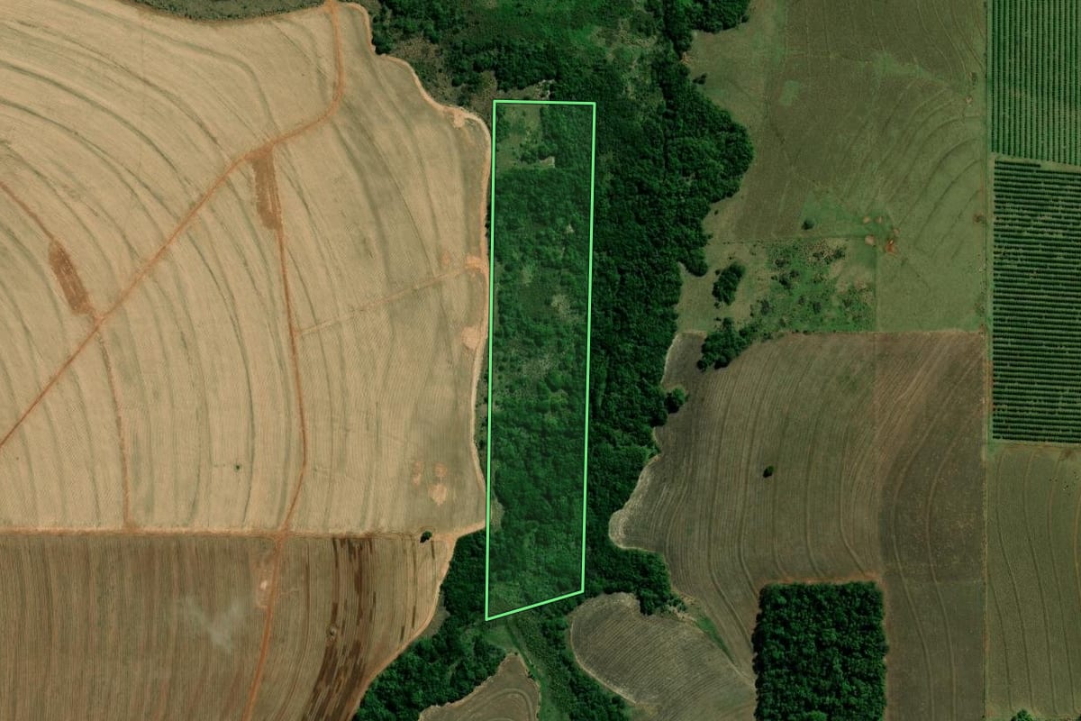 Imagem de satélite do imóvel rural em São João do Caiuá (PR), com o contorno declarado no CAR desenhado por cima.