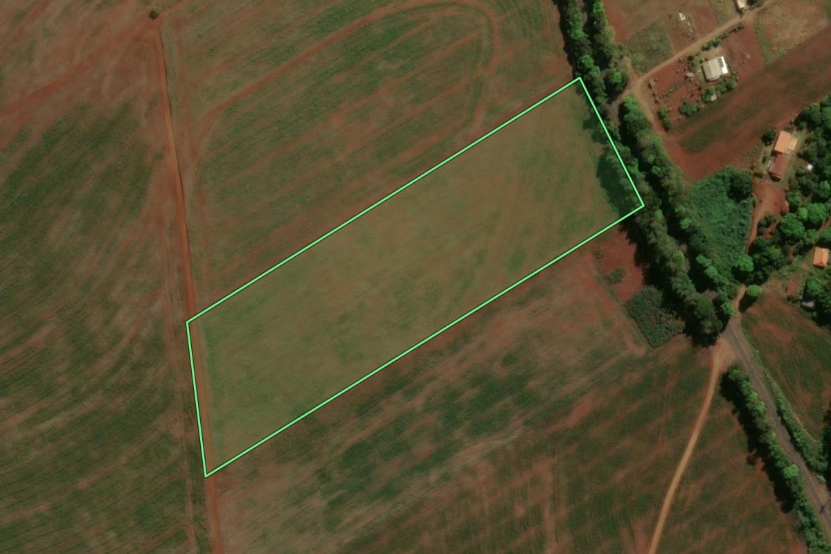 Imagem de satélite do imóvel rural em São João do Ivaí (PR), com o contorno declarado no CAR desenhado por cima.