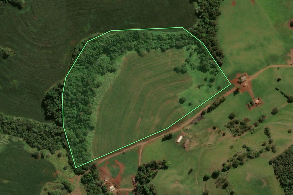 Imagem de satélite do imóvel rural em São João do Ivaí (PR), com o contorno declarado no CAR desenhado por cima.